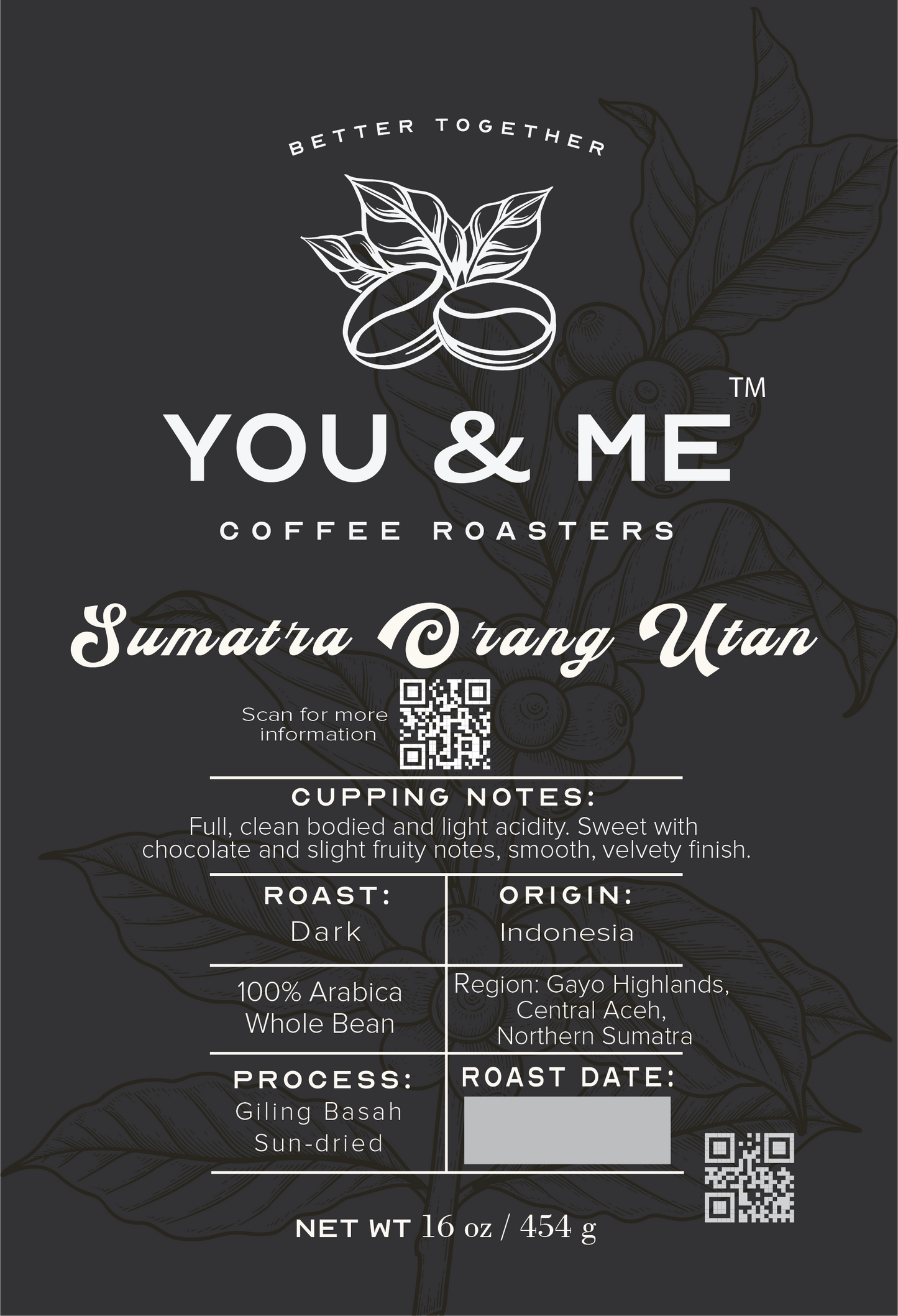 Sumatra Orang Utan