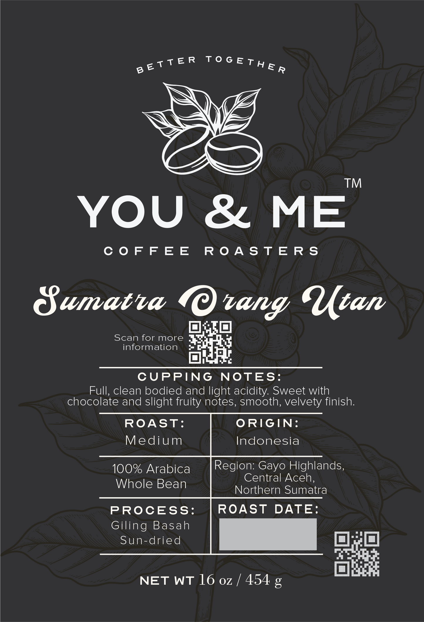 Sumatra Orang Utan