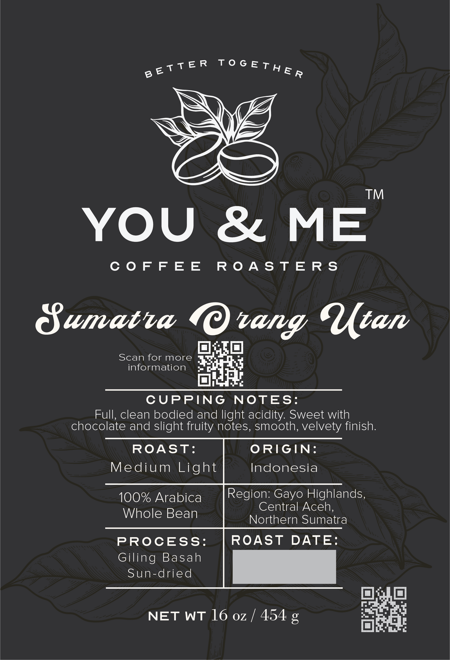 Sumatra Orang Utan
