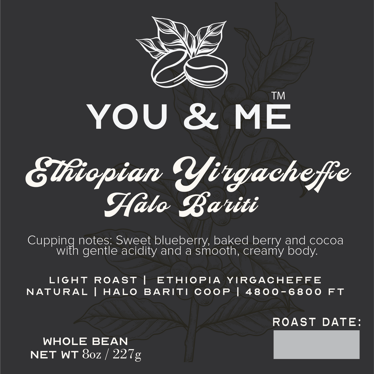 Ethiopian Yirgacheffe - Halo Bariti