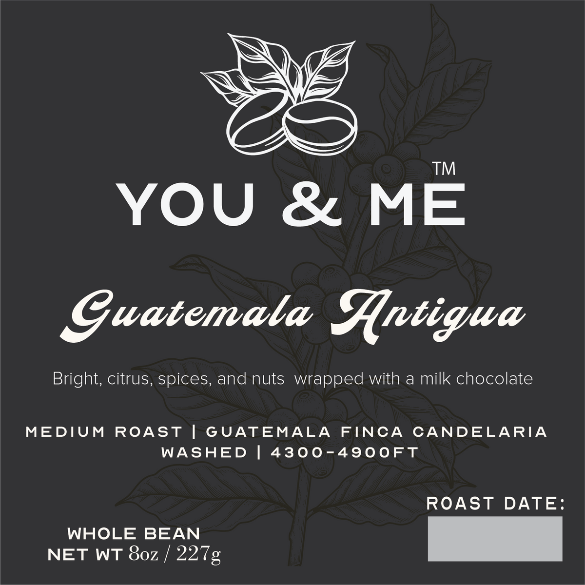 Guatemala Antigua
